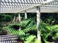 Svěží palmy pokrývají masivní betonovou pergolu, která se nachází v zadní části domu. Fíkus a Kerriodoxa elegans jsou pouze dva z 3500 druhů rostlin shromážděných Burle Marxem. (foto: Alexander Gorlin)