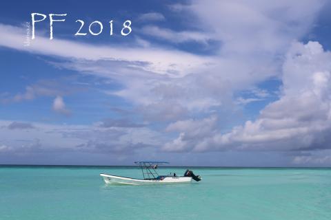 PF 2018 - Saona Island